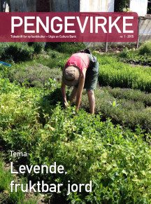 Pengevirke 1 / 2015-coverbilde